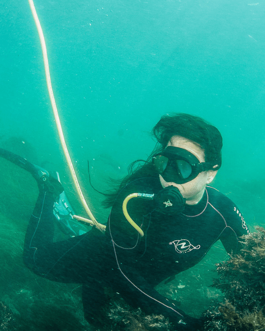 What is Hookah Diving&nbsp;System